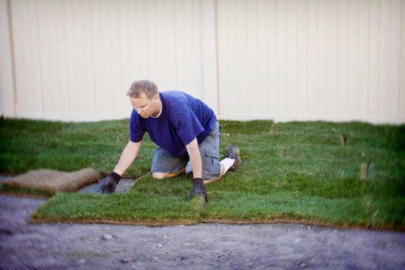 Bahia Sod Installation in Rockwall, TX