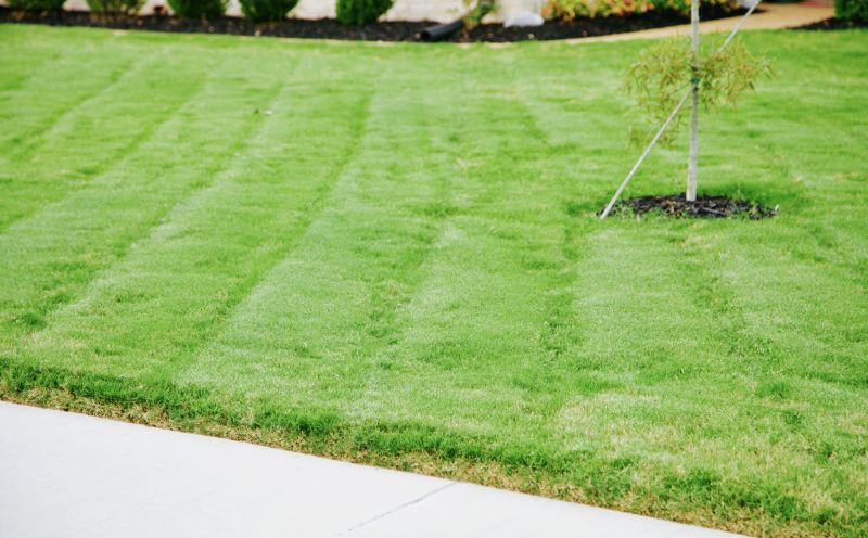 Bluegrass Sod Installation in Ventura County, CA