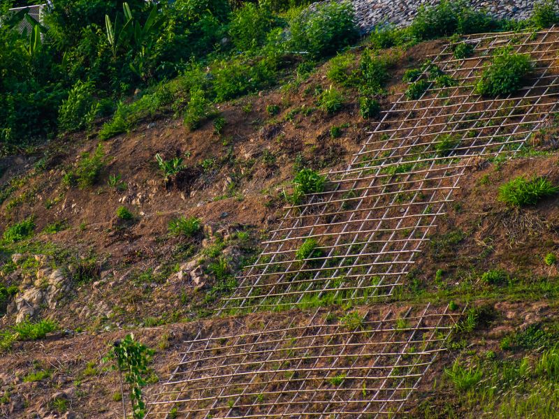 Erosion Control Netting