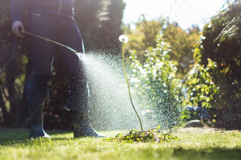 Crabgrass Prevention in Aiken, SC