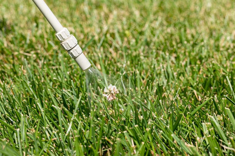 Crabgrass Removal in Aiken, SC