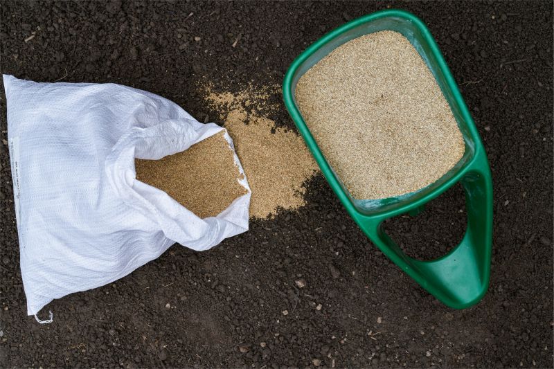 Fall Lawn Seeding in Ventura County, CA