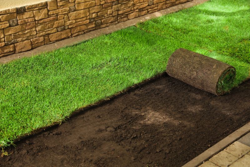 Grass Replacement in Aiken, SC