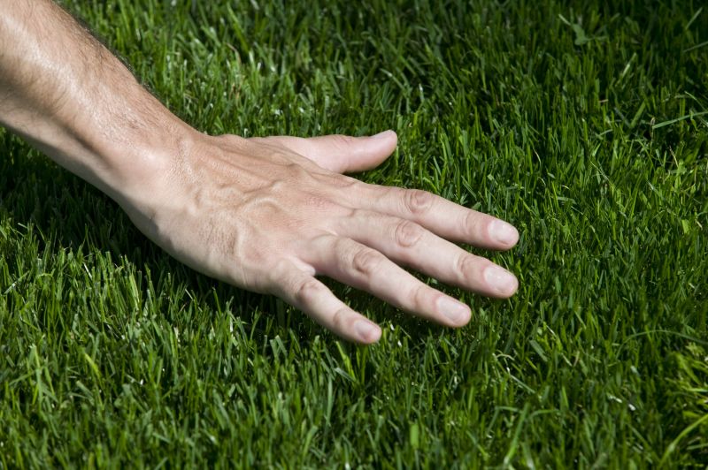Grass Replacement in Rockwall, TX