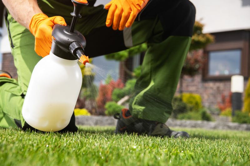 Lawn Fungus Treatment in Honolulu, HI