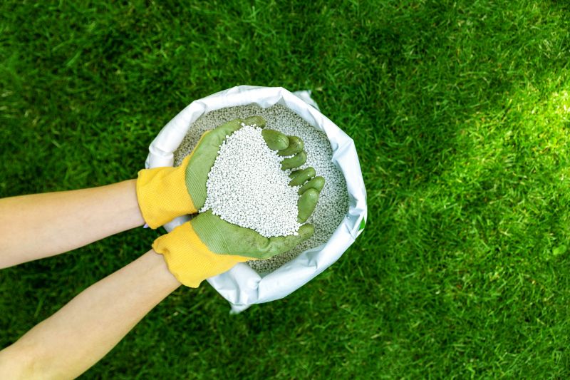 Lawn Fungus Treatment in Honolulu, HI