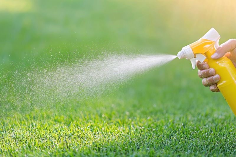 Lawn Herbicide Treatment in Ventura County, CA