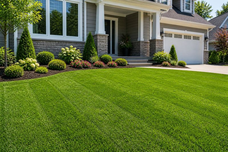 Lawn Installation in Rockwall, TX