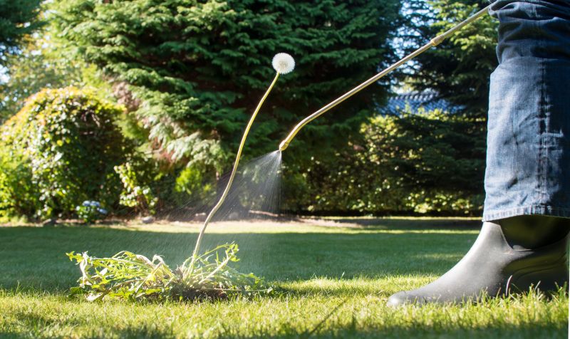 Lawn Weed Control in Ventura County, CA