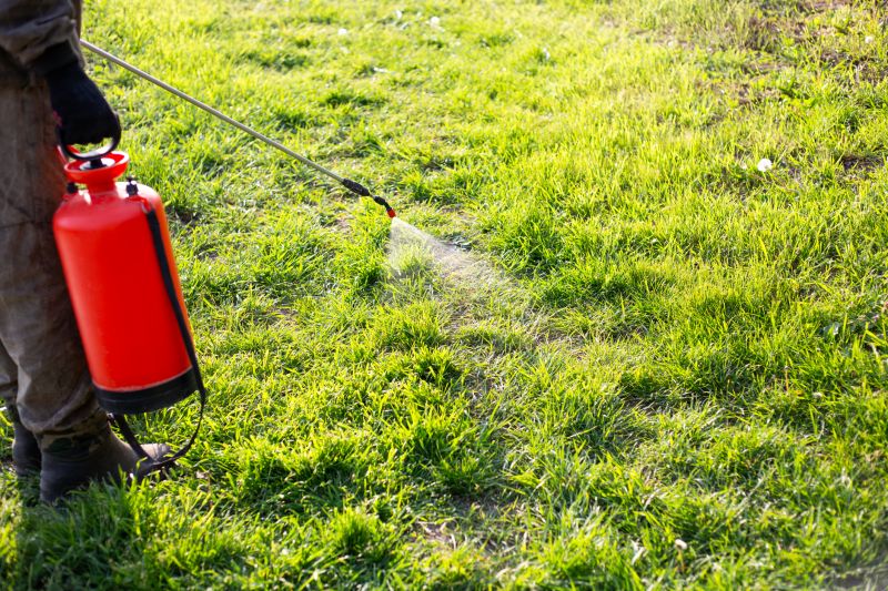 Lawn Weed Spraying in Honolulu, HI