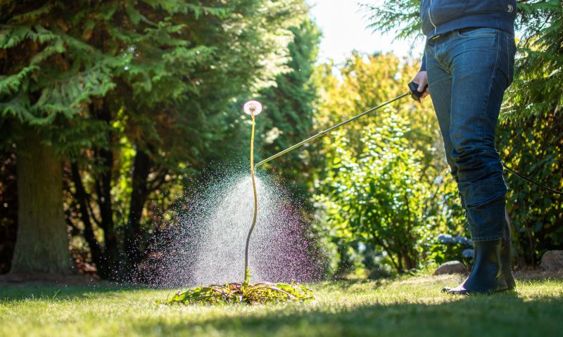 Lawn Weed Spraying in Honolulu, HI