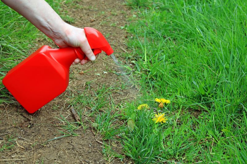 Lawn Weed Treatment in Honolulu, HI
