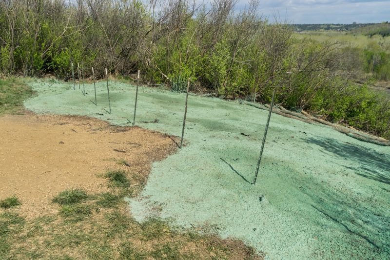 Liquid Grass Seeding in Ventura County, CA