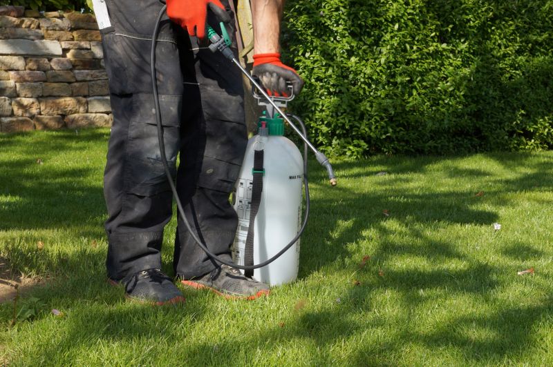 Pampas Grass Control in Ventura County, CA