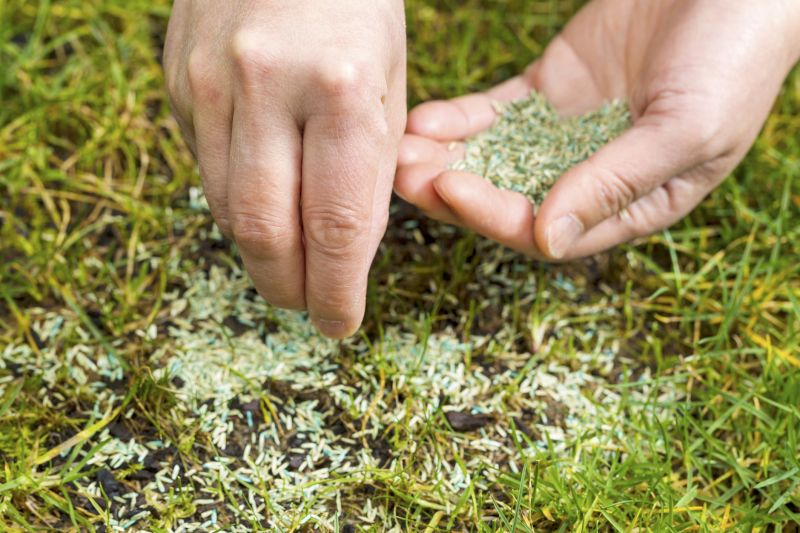 Residential Lawn Seeding in Ventura County, CA