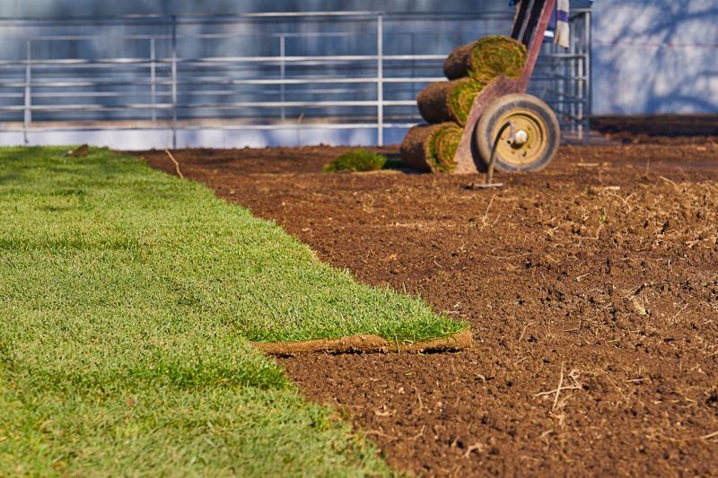 Ryegrass Sod Installation in Rockwall, TX