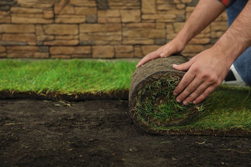 Ryegrass Sod Installation in Ventura County, CA