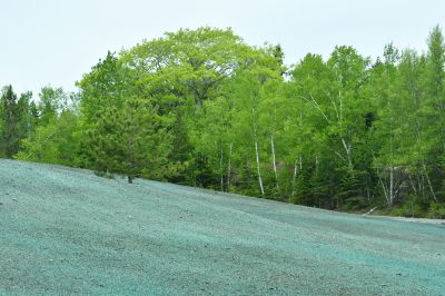 Slope Seeding in Ventura County, CA