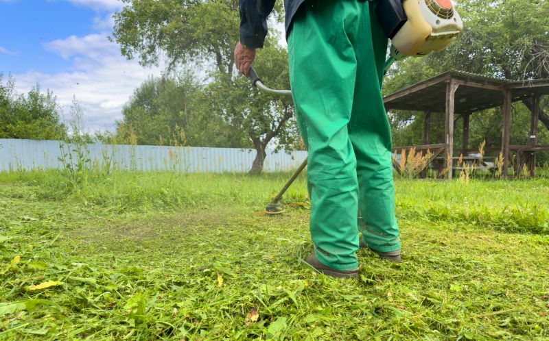 Weed Control Service in Rockwall, TX