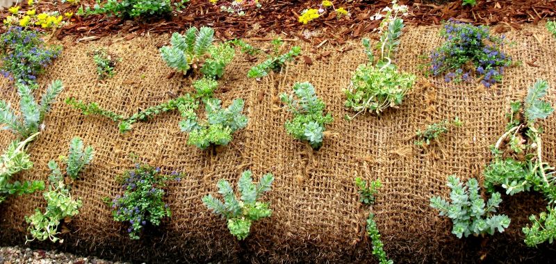 Monitoring and Inspection