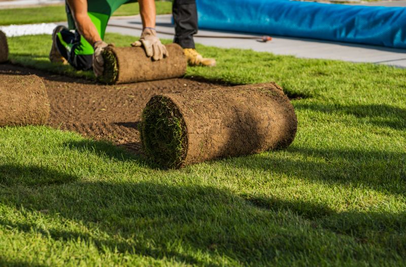 Yard Sodding in Ventura County, CA