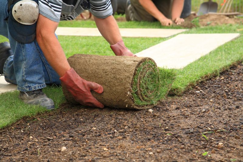 Zoysia Grass Installation in Honolulu, HI