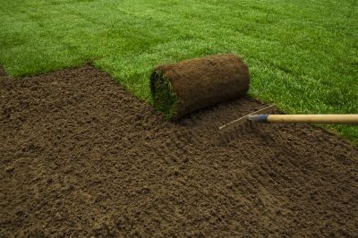 Ryegrass Sod Installation in Aiken, SC