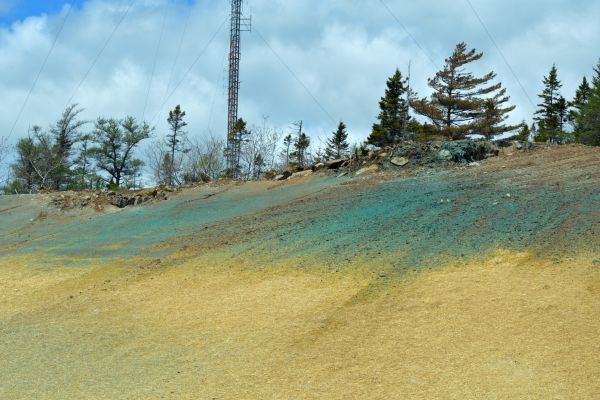 Commercial Hydroseeding