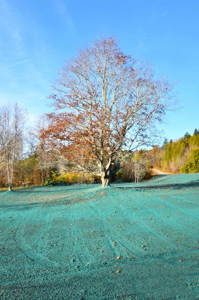 Professional Hydroseeding